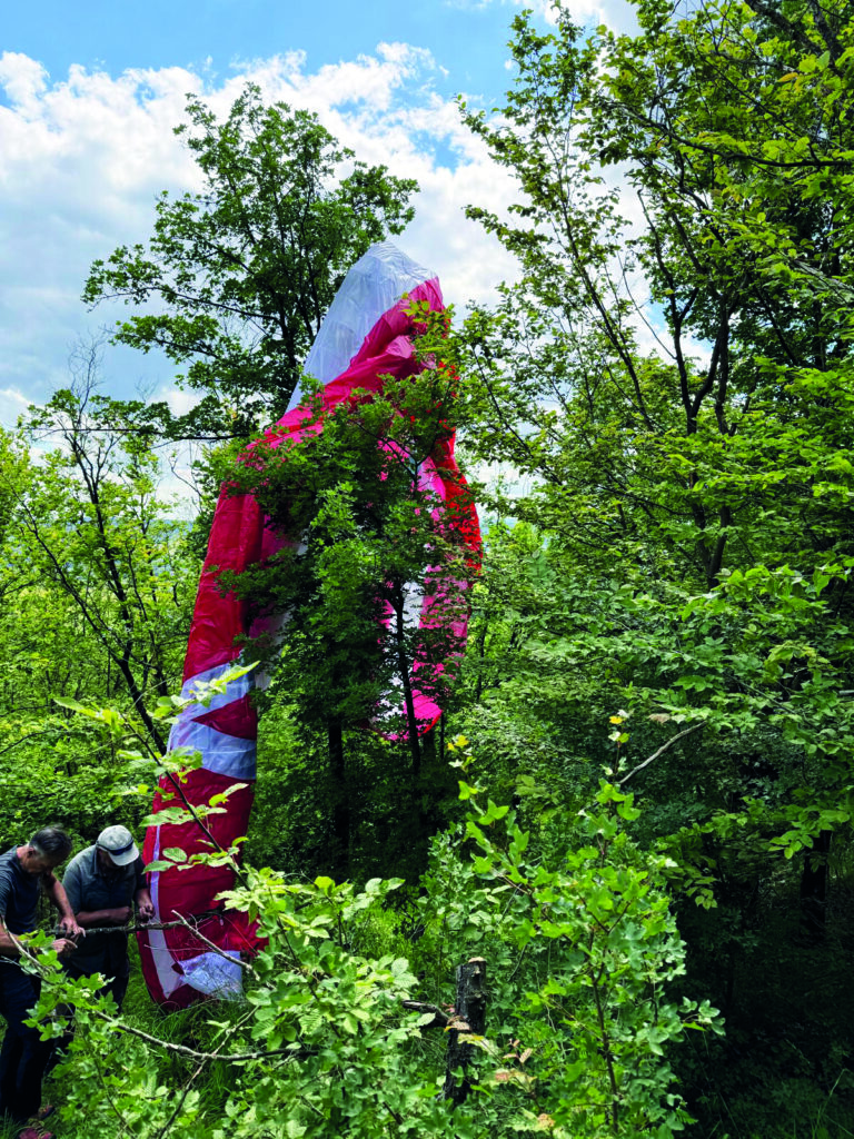 Fallschirm hängt im Baum