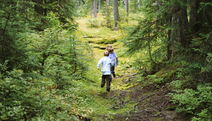 Kinder im Wald